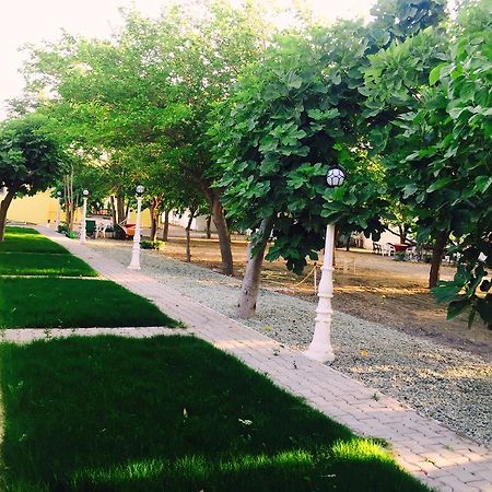 Siğacık Mali Beach المظهر الخارجي الصورة